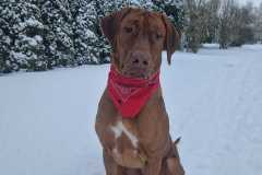 673c565c-d9b1-42fd-b108-f9d375de94ee