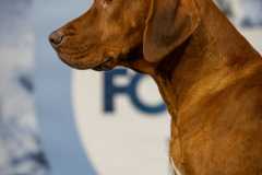 a1302ec8-bc03-49ac-bd63-362884e4e058