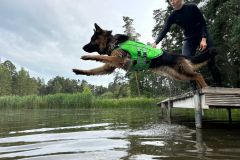 2b3439b1-792f-4022-b2ea-963e6942fec7