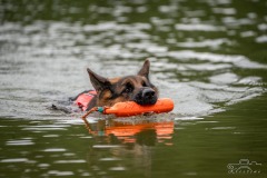 WhatsApp-Image-2026-03-23-at-10.11.46-1