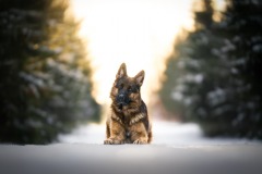 WhatsApp-Image-2026-03-23-at-10.11.46