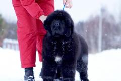 22faf6aa-24a8-471a-9b16-9746ce7c1943