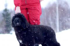 5ce9d91f-4c9c-4d5c-ab71-b9d0d4833569