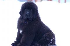 5ef6ad64-4d00-49f9-97b3-975adff6b308