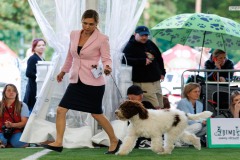 2025_08_23_CACIB_BIALYSTOK_819